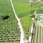 Farm stay Quinta Da Cumieira (Norte)