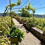Quinta Da Farm stay Cumieira (Norte)