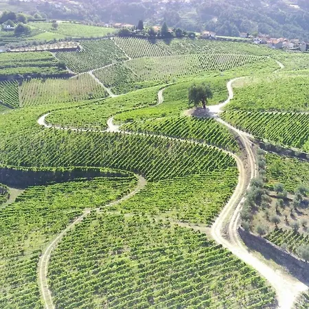 مزرعة للإقامة Quinta Da *