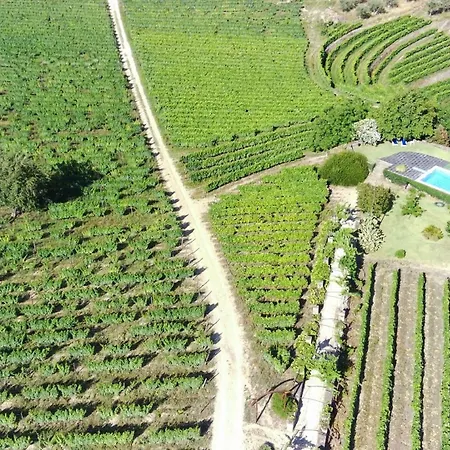 مزرعة للإقامة Quinta Da Cumieira (Norte)