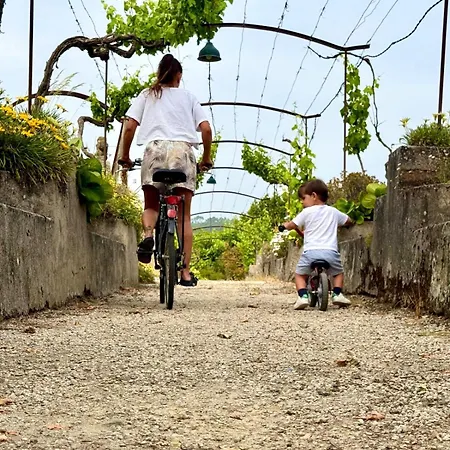 Quinta Da *