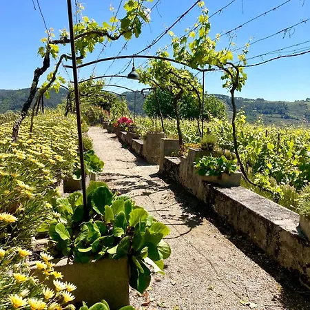 Quinta Da Bauernhof Cumieira (Norte)