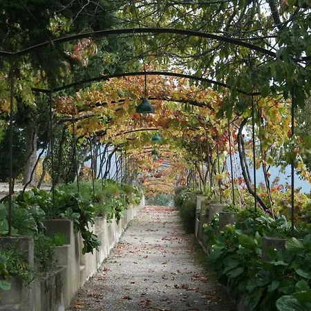 مزرعة للإقامة Quinta Da Cumieira (Norte)