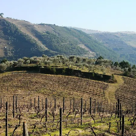 Quinta Da Cumieira *