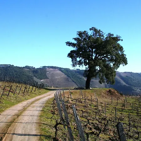 Quinta Da Cumieira Alojamento de Turismo Rural Cumieira (Norte)