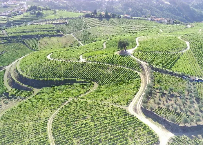 Фермерский дом Quinta Da *