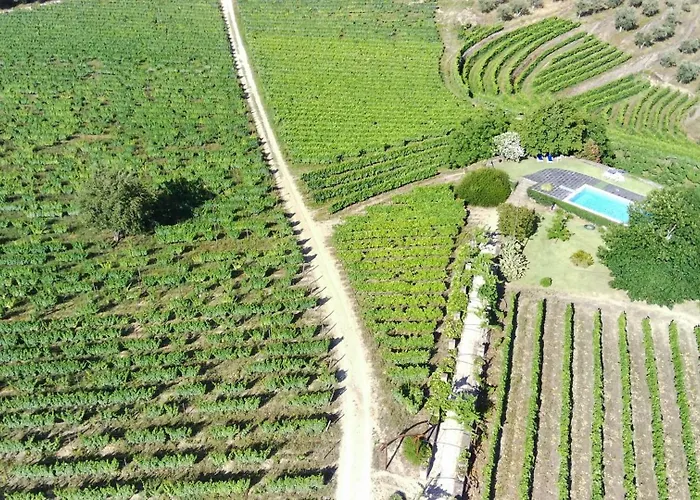 Фермерский дом Quinta Da Cumieira (Norte)