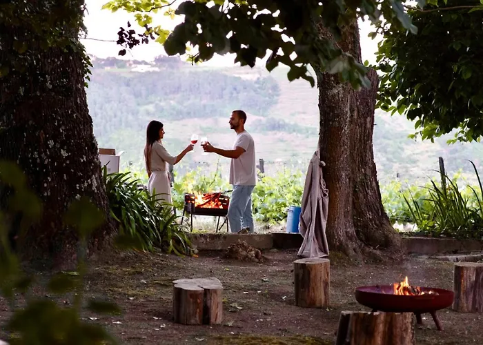 Фермерский дом Quinta Da Cumieira (Norte)