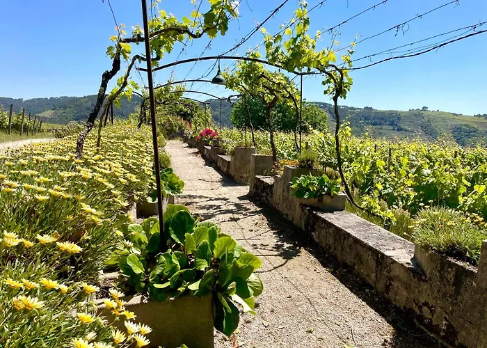 Quinta Da Фермерский дом Cumieira (Norte)